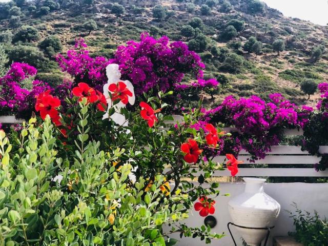 Appartamento La Bastide Skyros Esterno foto