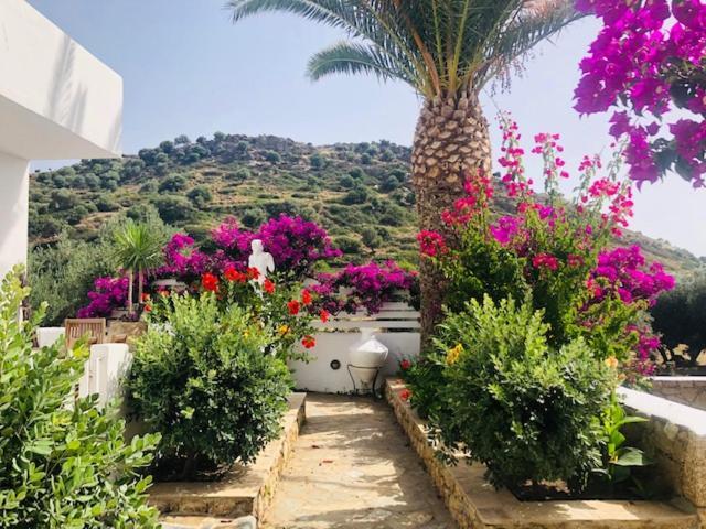 Appartamento La Bastide Skyros Esterno foto